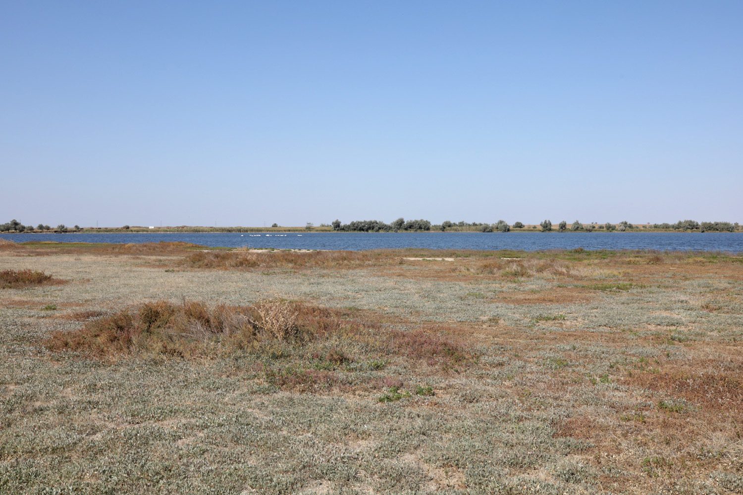 Озеро Айгульское, image of landscape/habitat.