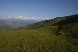 Цумандинский перевал, image of landscape/habitat.