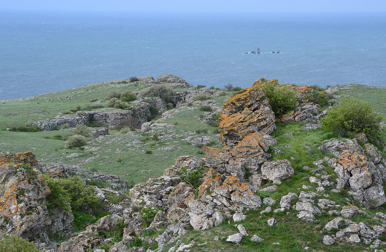 Опук, image of landscape/habitat.