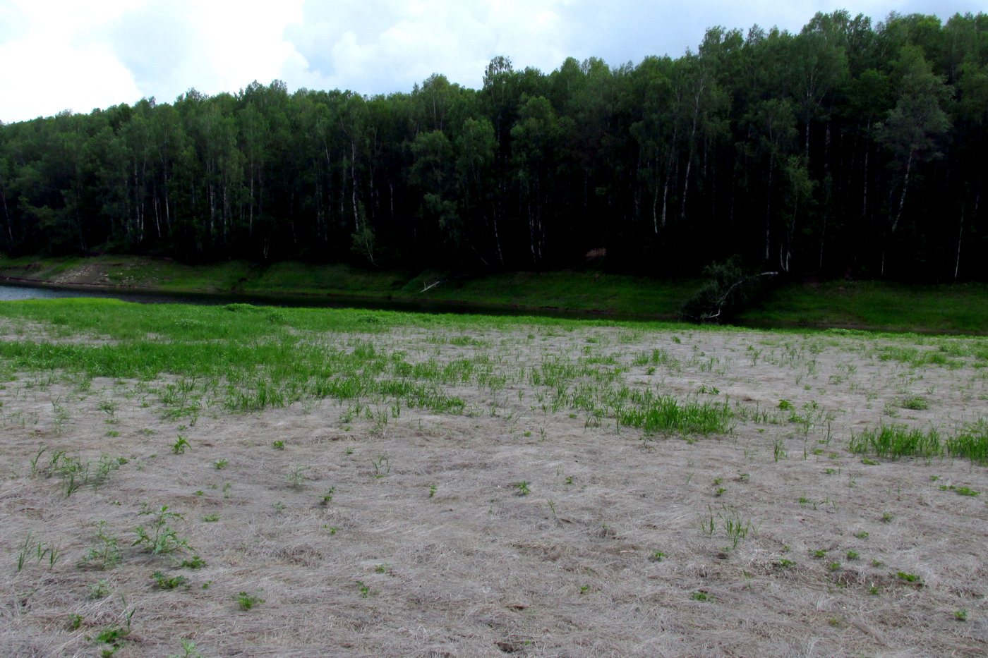 Убейский залив, image of landscape/habitat.