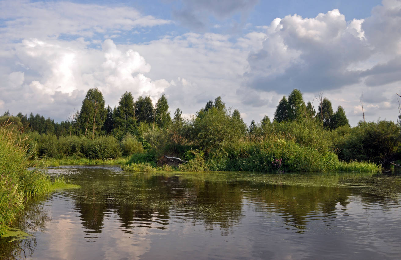 Окрестности посёлка Сактаево, image of landscape/habitat.