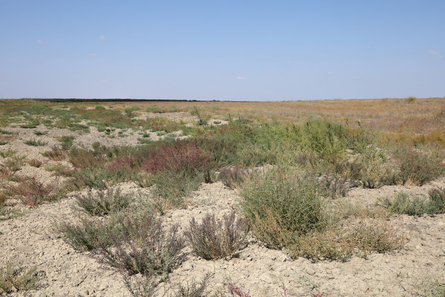 Озеро Айгульское, image of landscape/habitat.