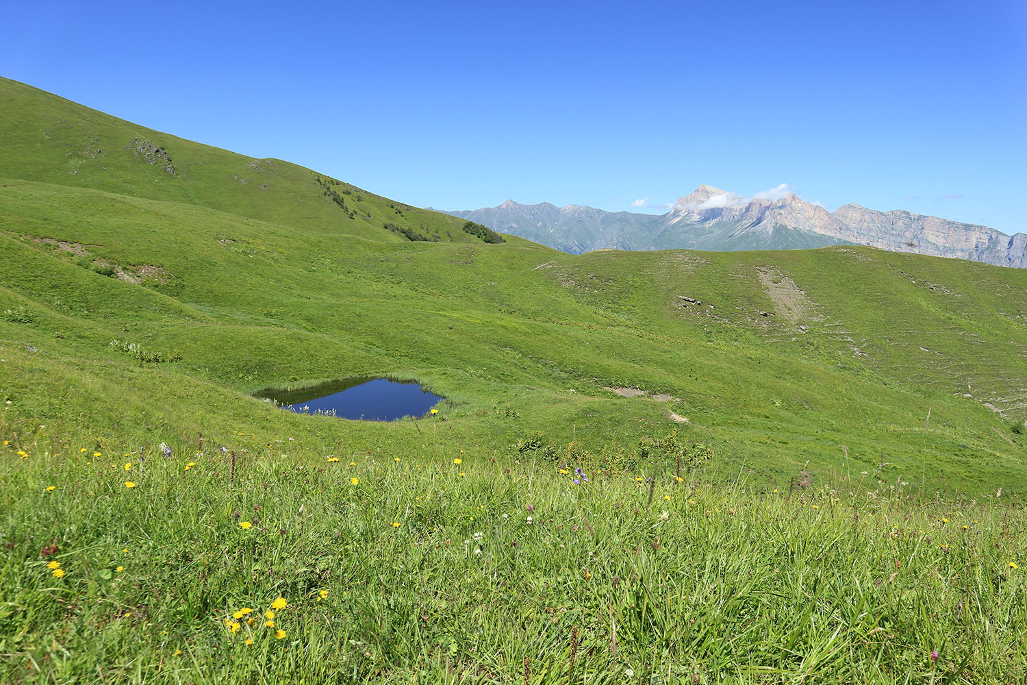 Эркедыген, image of landscape/habitat.