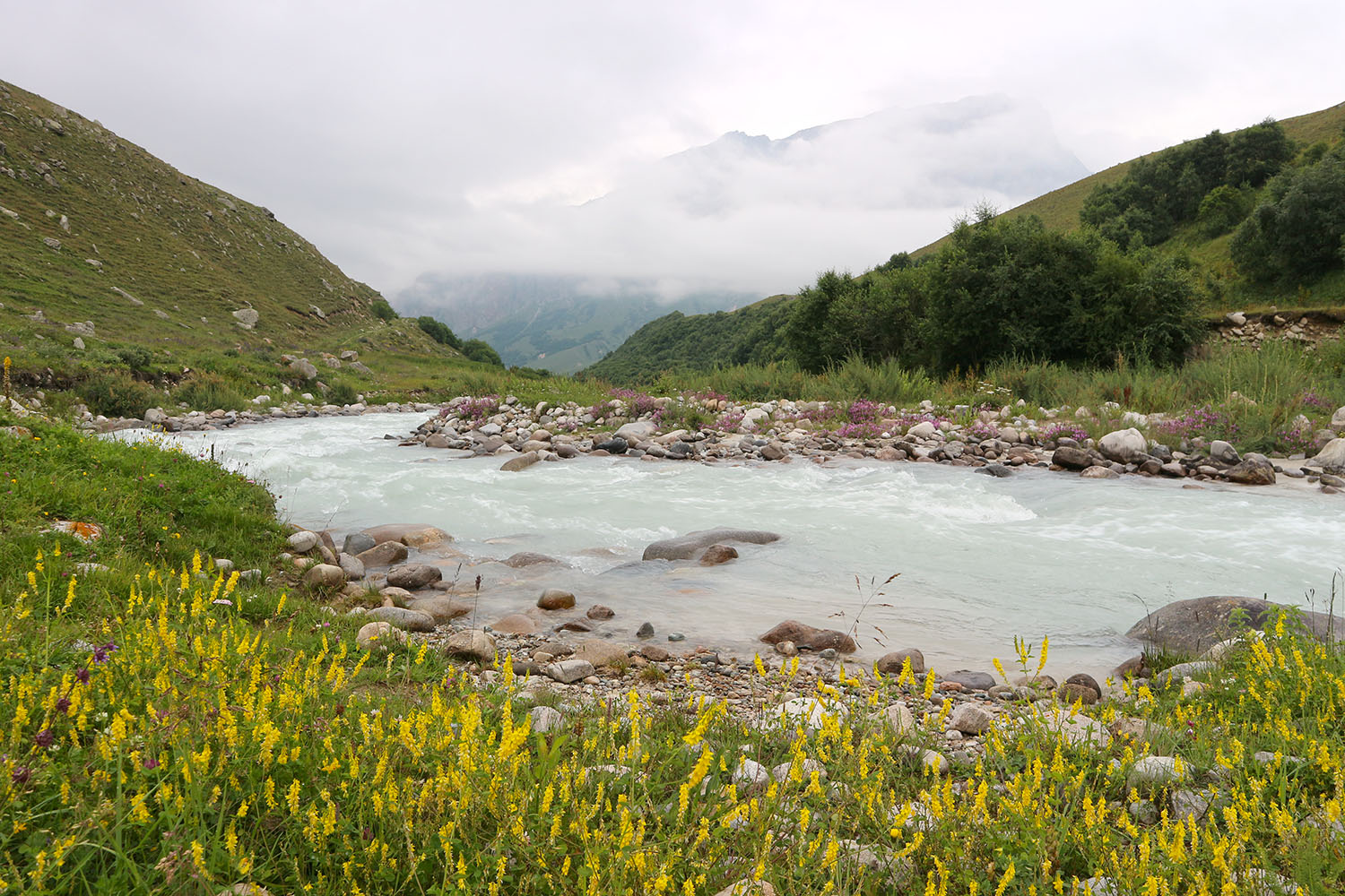 Луг в излучине Псыгансу, image of landscape/habitat.