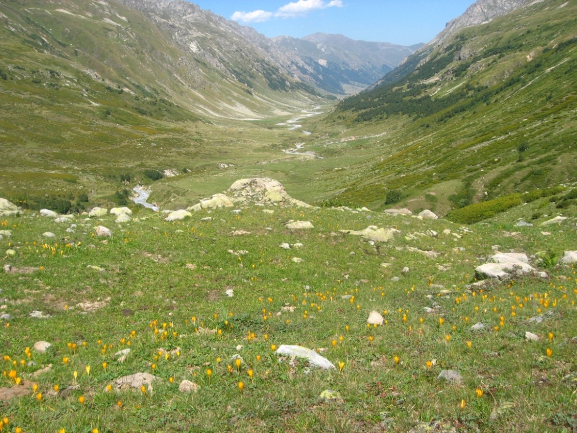 Долина реки Маруха, image of landscape/habitat.