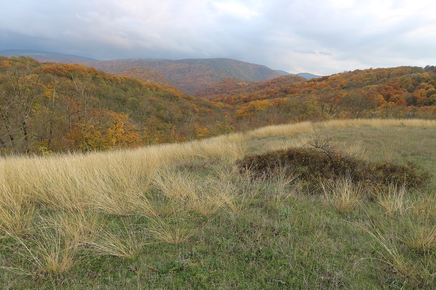 Щель Шестая, image of landscape/habitat.