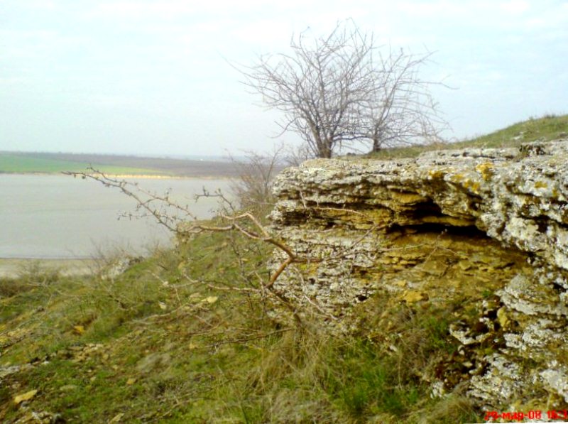 Хаджибейский лиман, image of landscape/habitat.