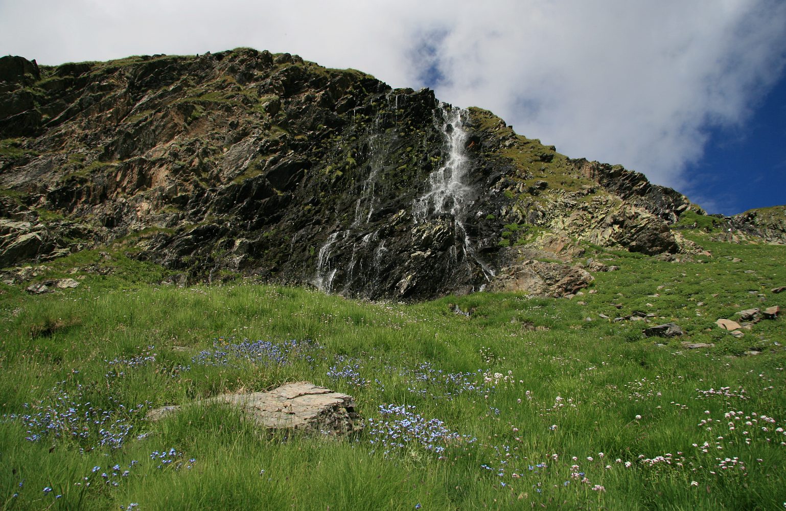 Алибек, image of landscape/habitat.