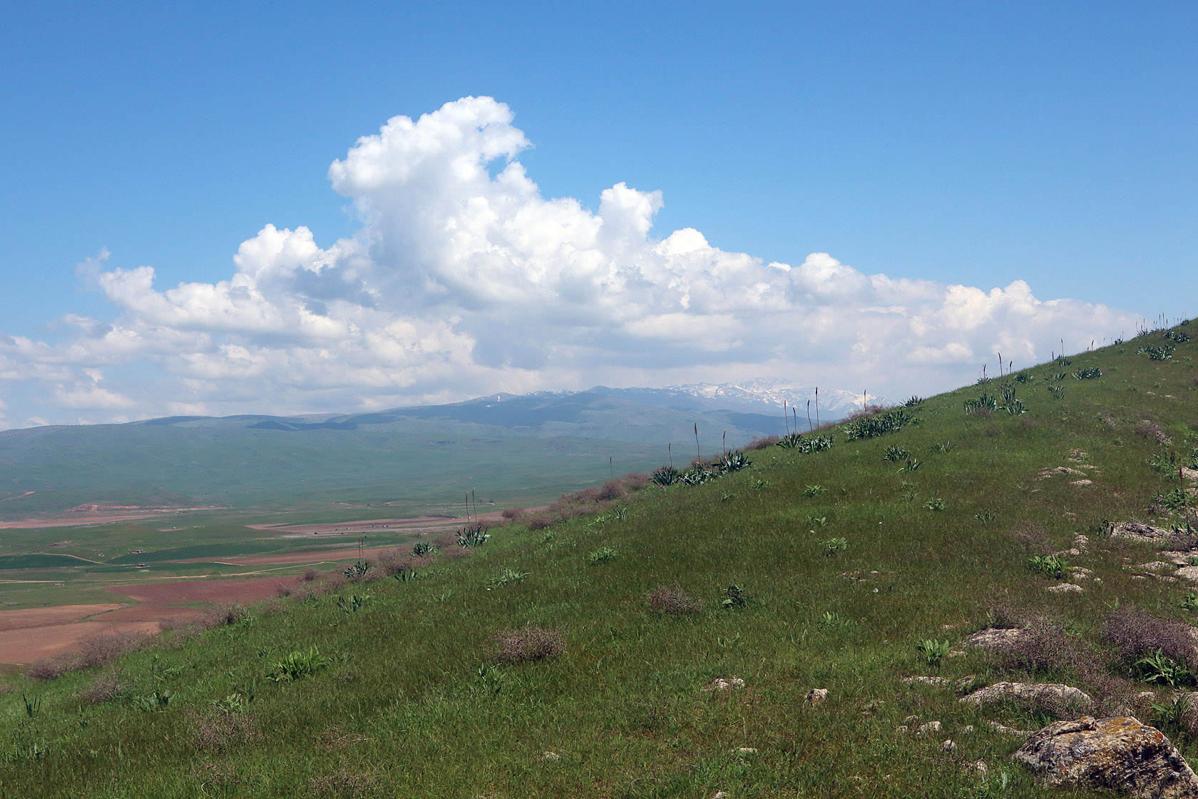 Окрестности посёлка Майский, image of landscape/habitat.