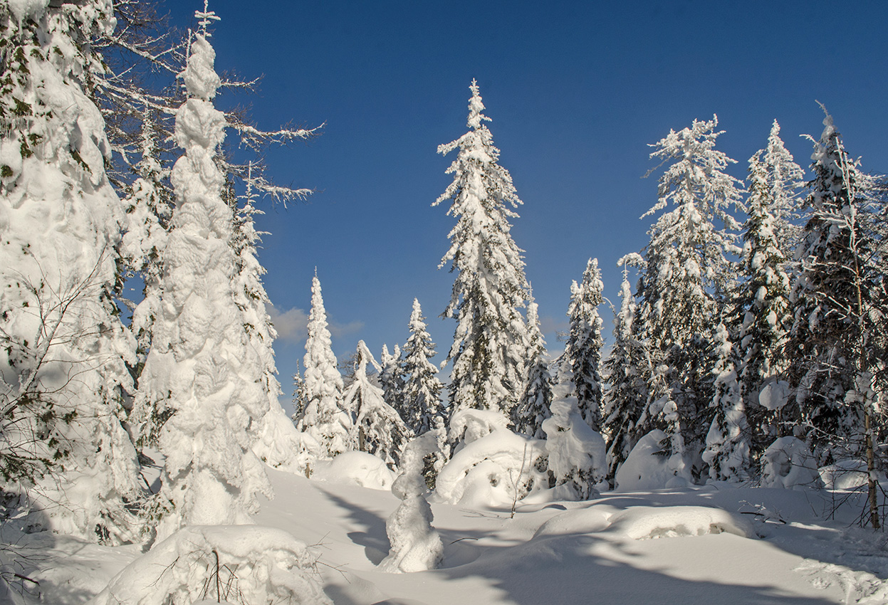 Окрестности деревни Отнурок, image of landscape/habitat.