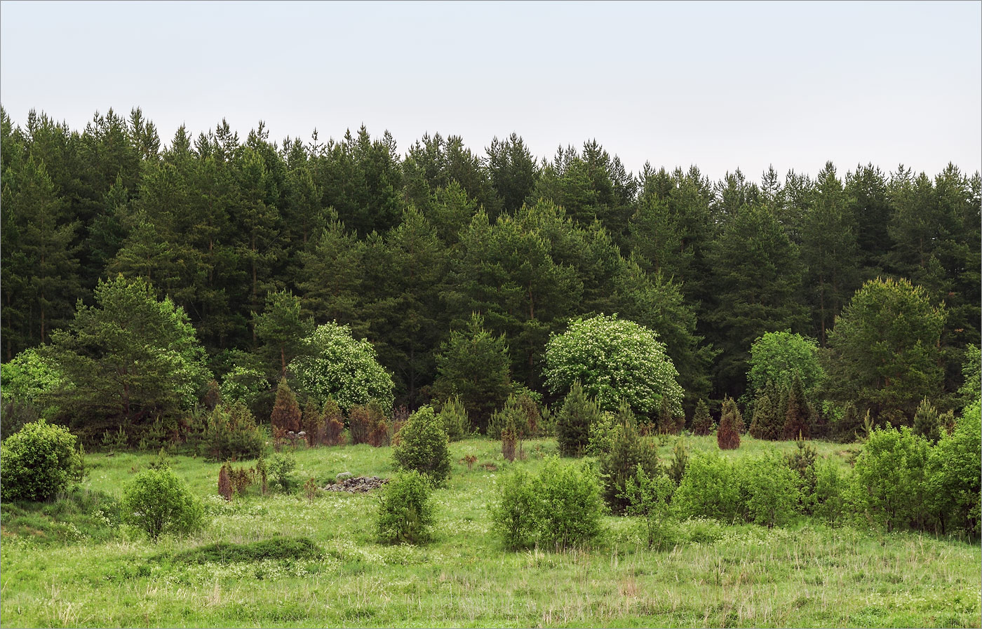 Клим Нос, image of landscape/habitat.