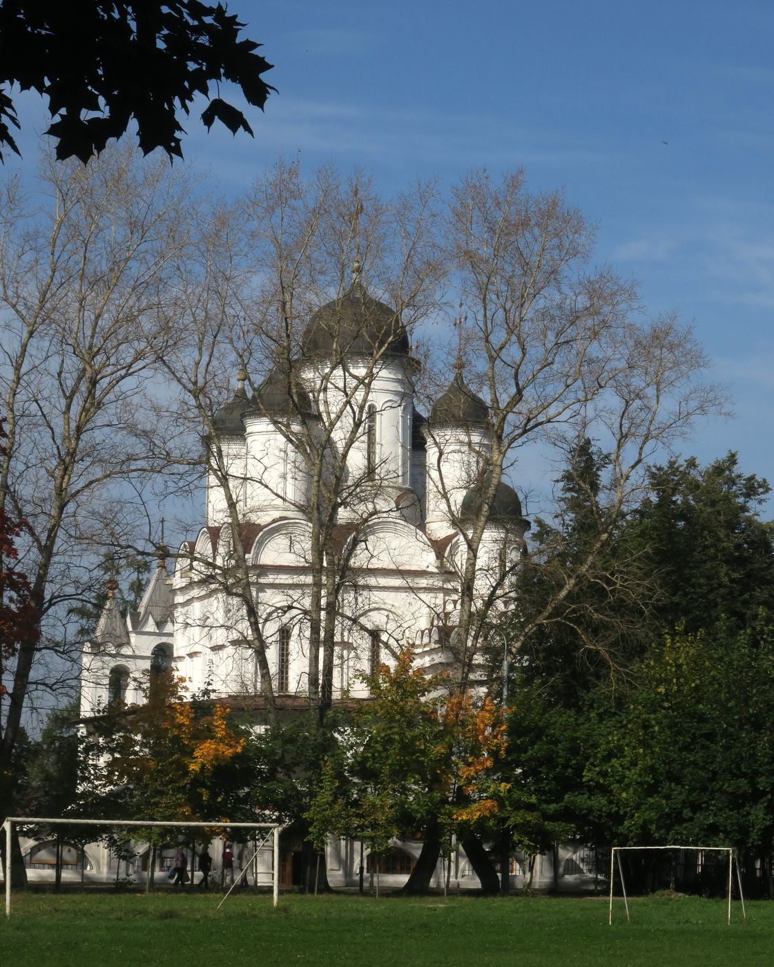 Большие Вязёмы, image of landscape/habitat.