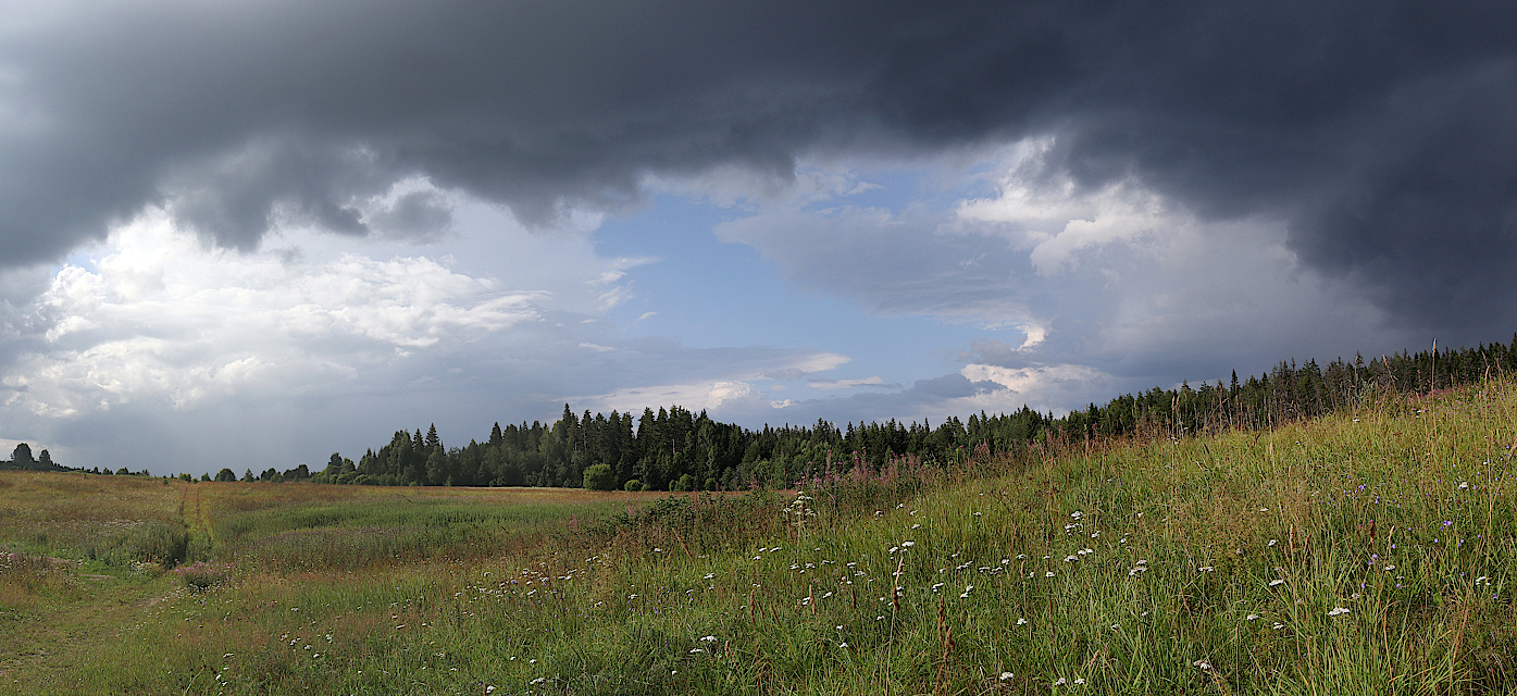 Окрестности Ихалы, image of landscape/habitat.