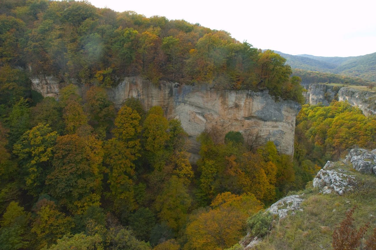 Долина реки Мишоко, image of landscape/habitat.