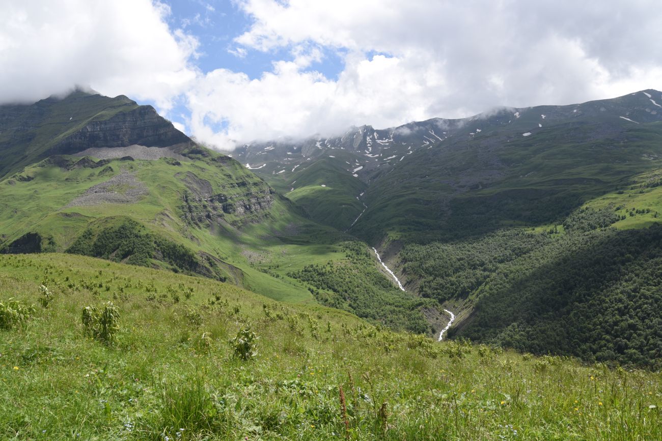 Верхнее течение Чадыри, image of landscape/habitat.