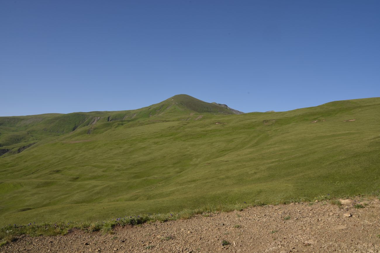 Цумандинский перевал, image of landscape/habitat.