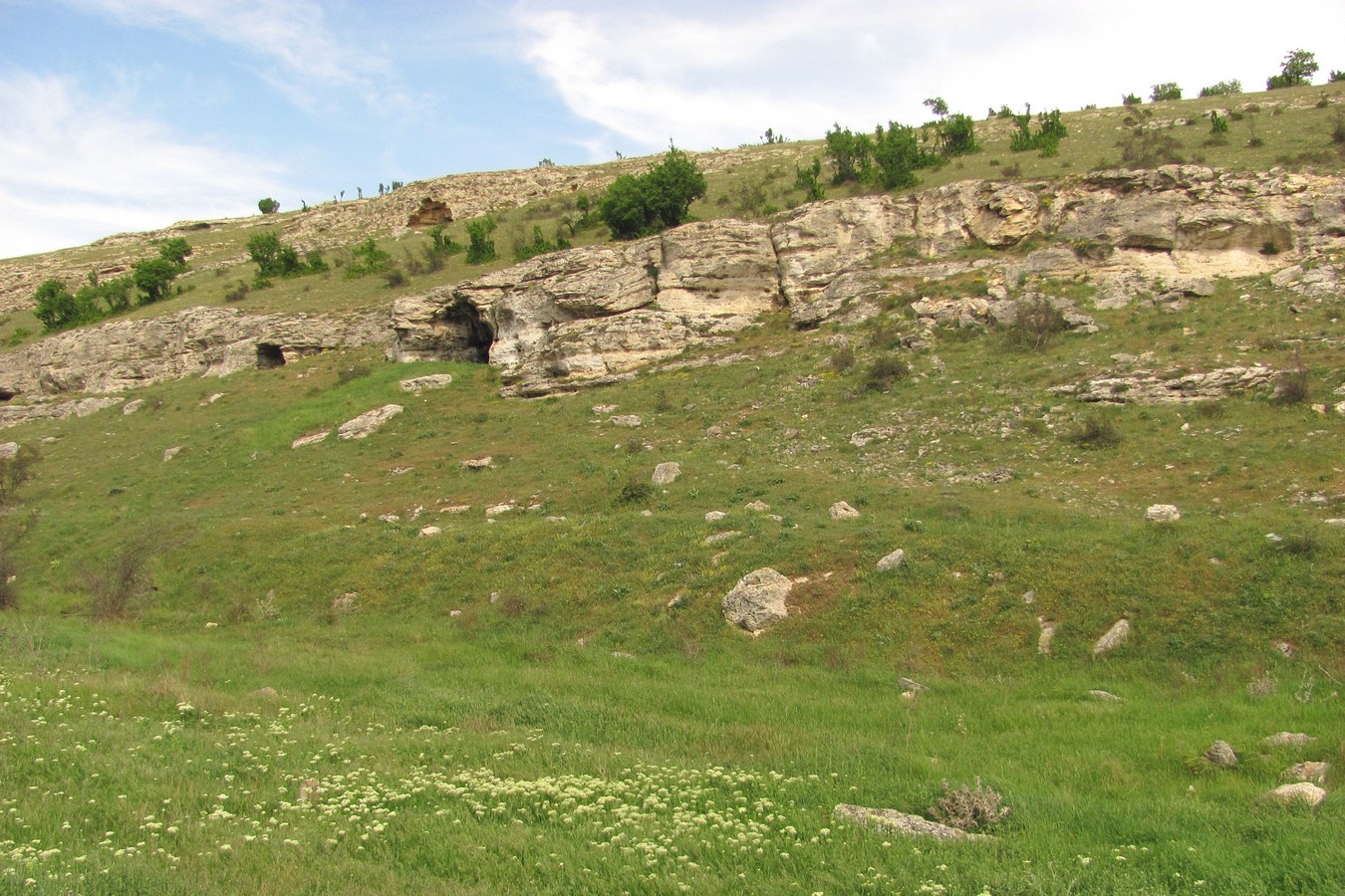 Сарандинакина балка, image of landscape/habitat.