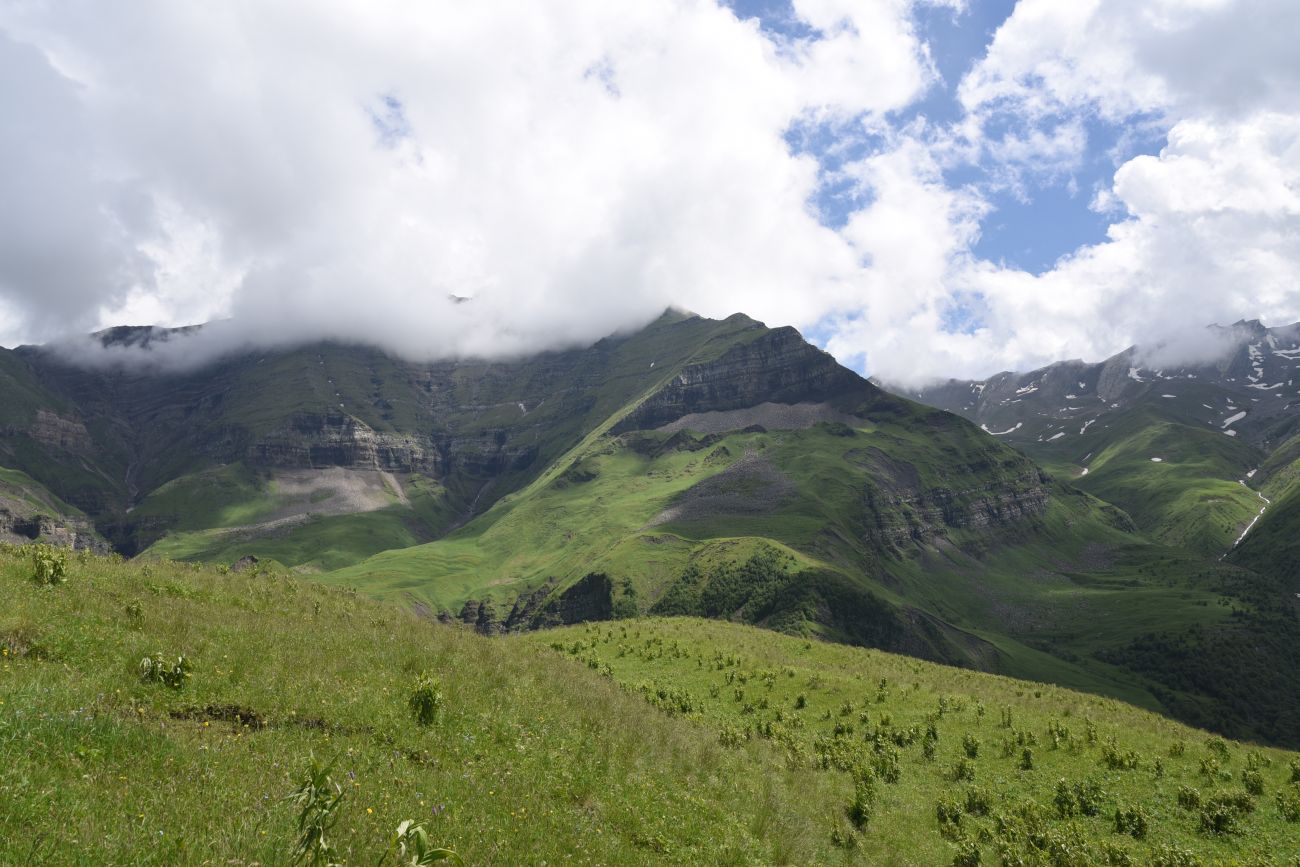 Верхнее течение Чадыри, image of landscape/habitat.