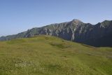 Цумандинский перевал, image of landscape/habitat.