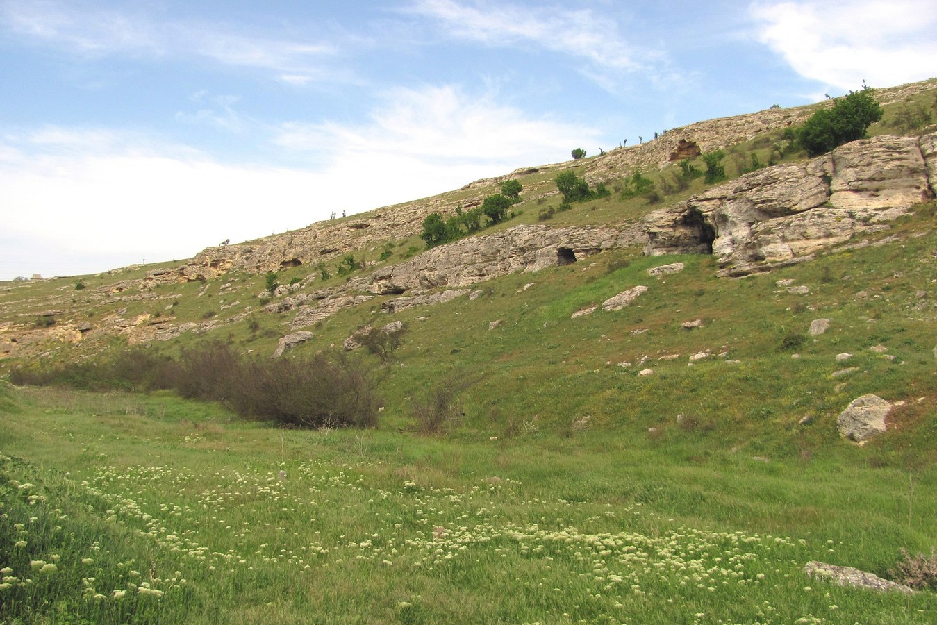 Сарандинакина балка, image of landscape/habitat.