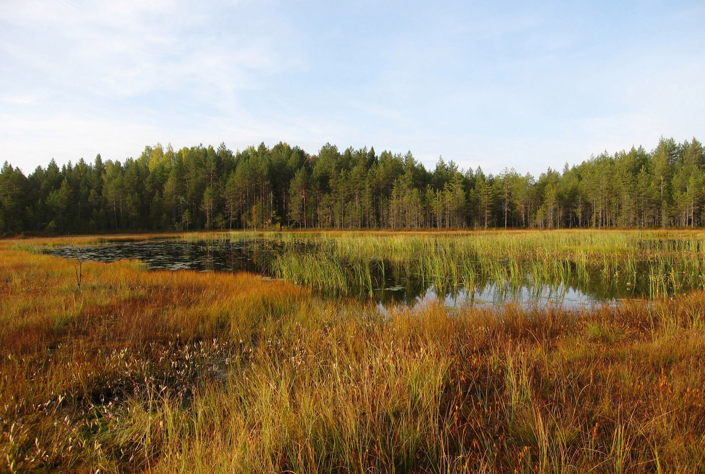 озеро Талто, image of landscape/habitat.