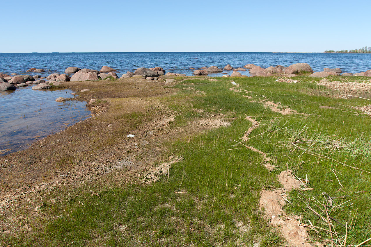 Мыс Дубовский, image of landscape/habitat.