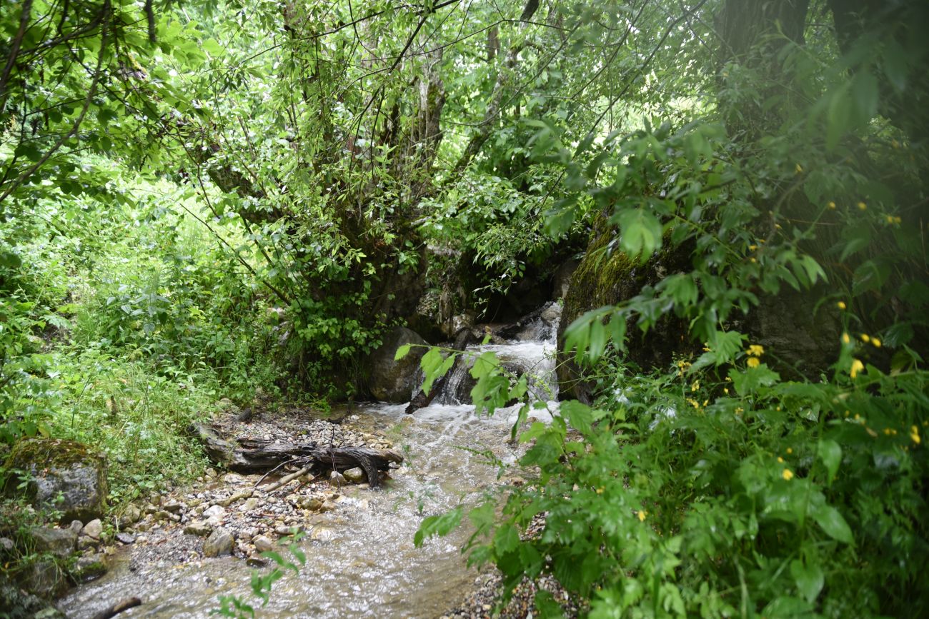 Нижний Кяхк и окрестности, image of landscape/habitat.