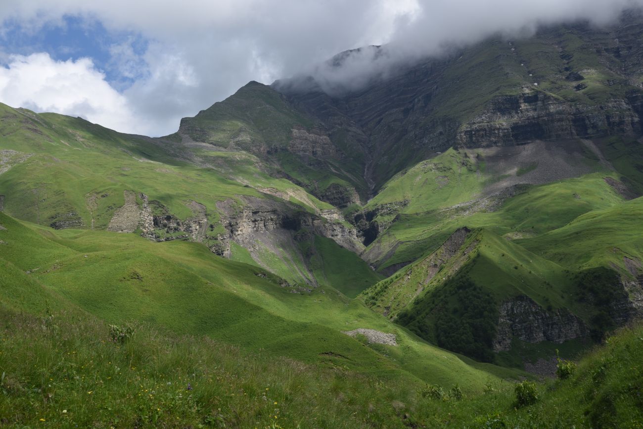 Верхнее течение Чадыри, image of landscape/habitat.