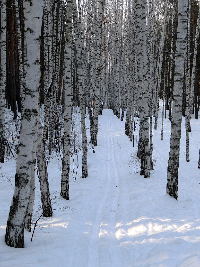 Верхняя Терраса и окрестности, image of landscape/habitat.