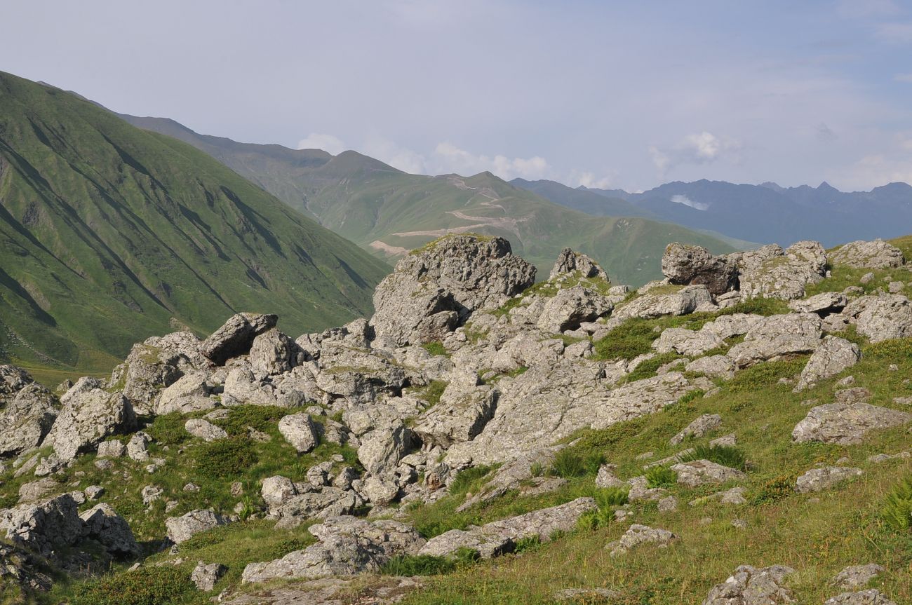 Голубое Абуделаури и окрестности, image of landscape/habitat.