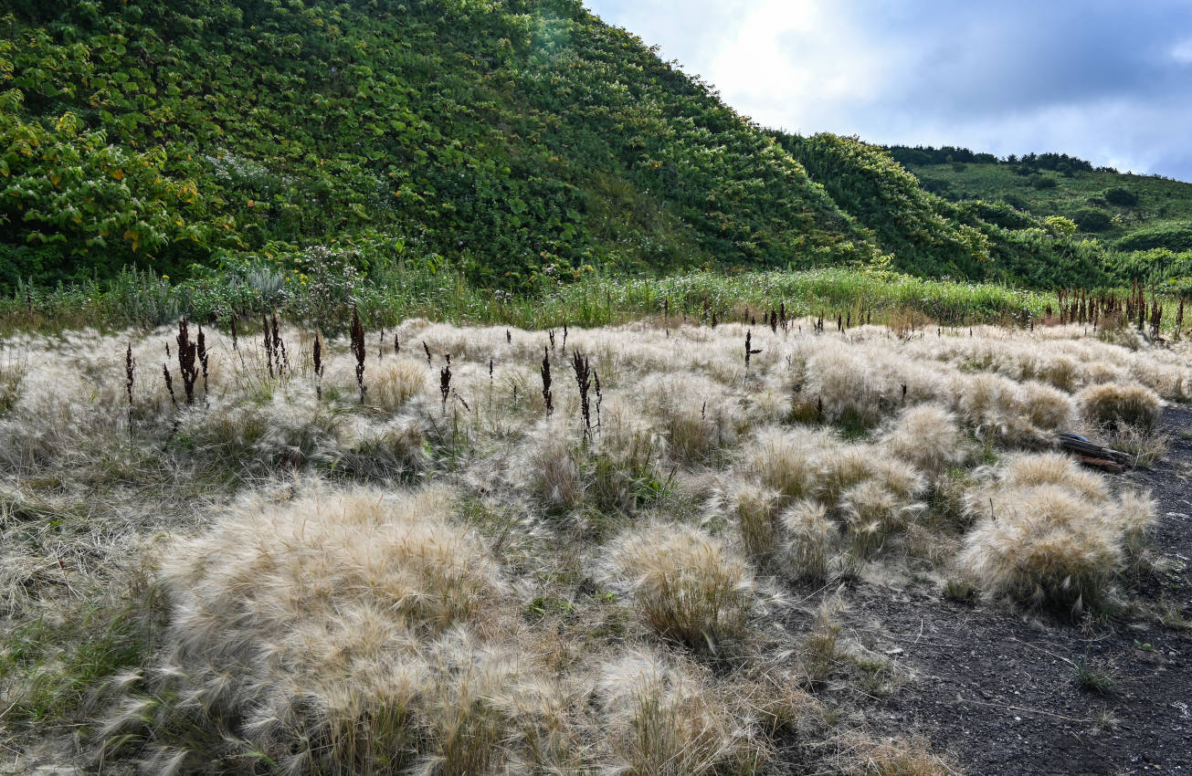 Окрестности села Новиково, image of landscape/habitat.