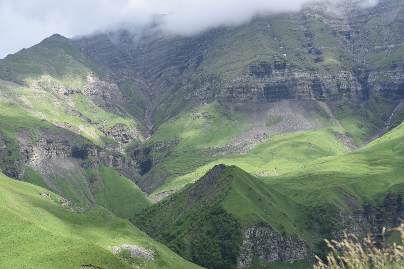 Верхнее течение Чадыри, image of landscape/habitat.