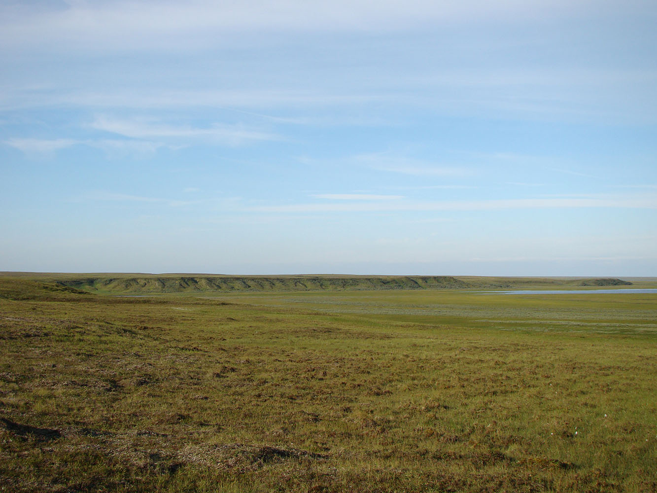 Устье реки Юрибей, image of landscape/habitat.