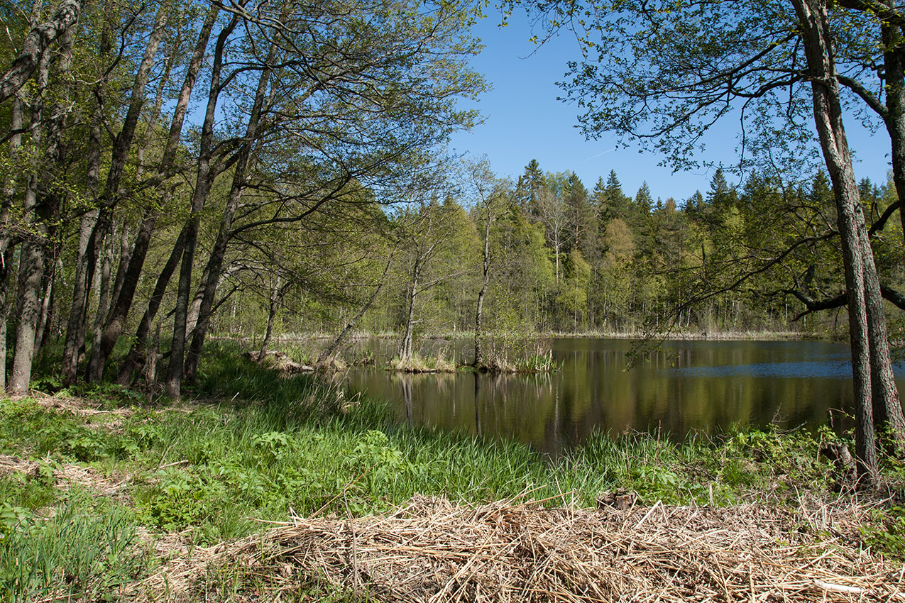 Мыс Дубовский, image of landscape/habitat.