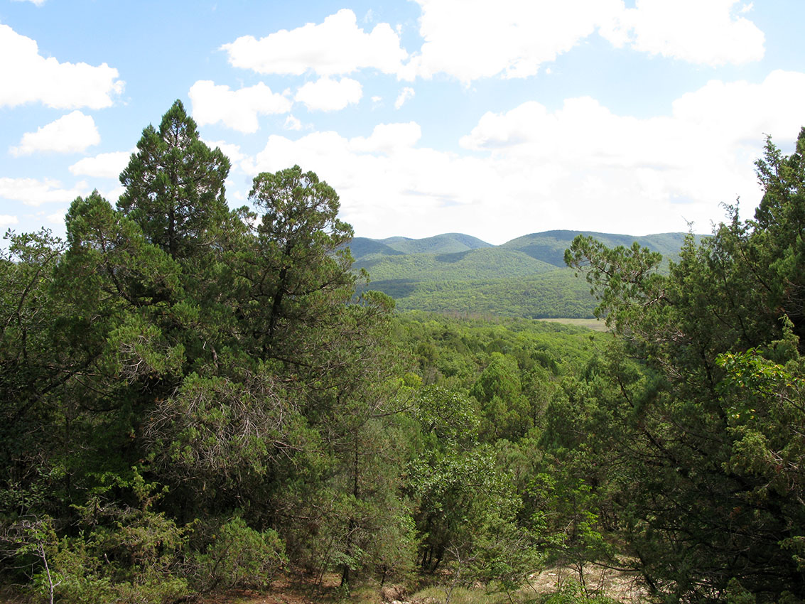 Окрестности озера Сукко, image of landscape/habitat.