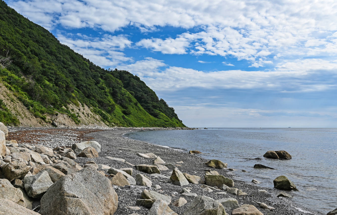 Мыс Слюда, image of landscape/habitat.