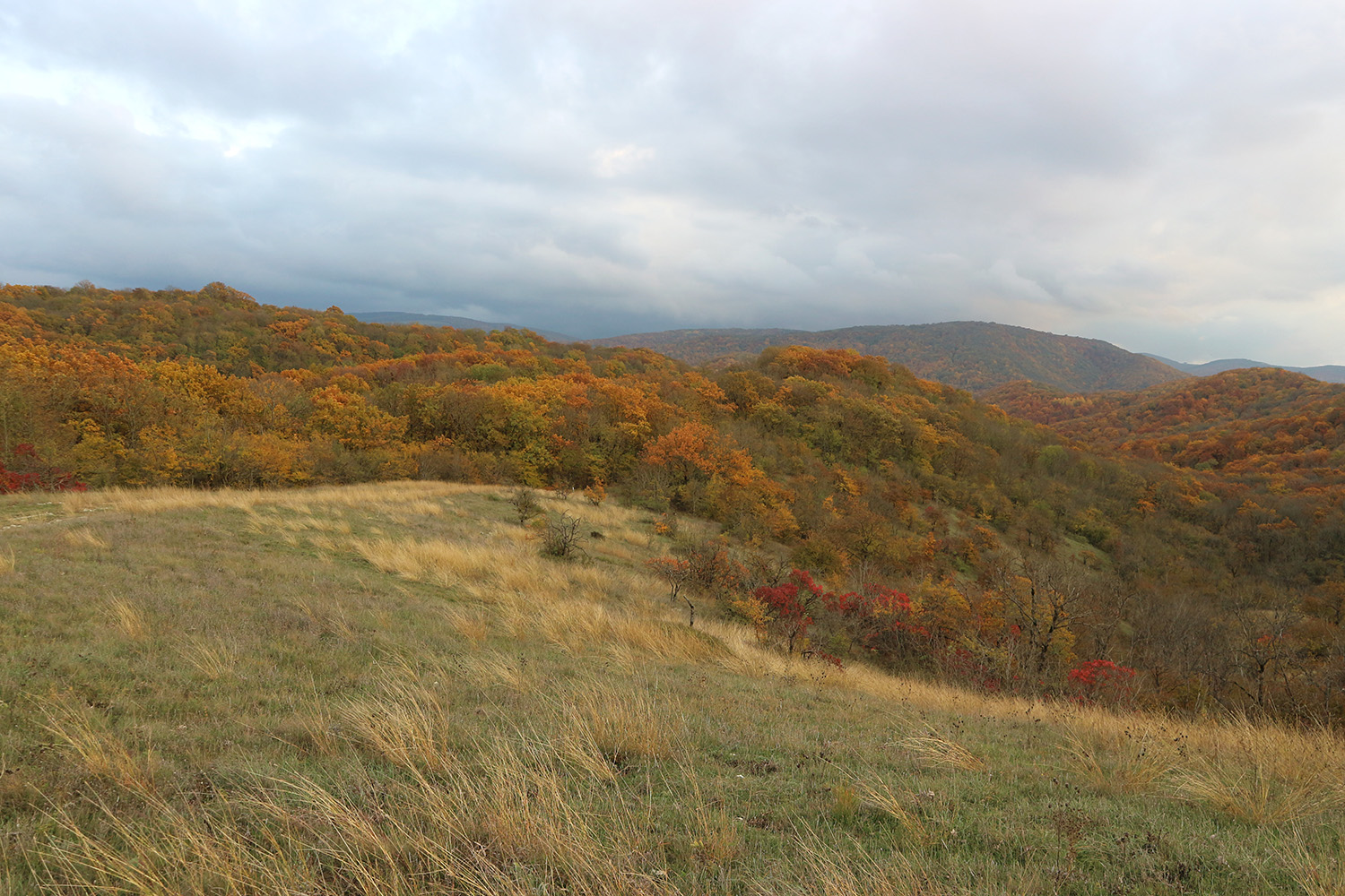 Щель Шестая, image of landscape/habitat.