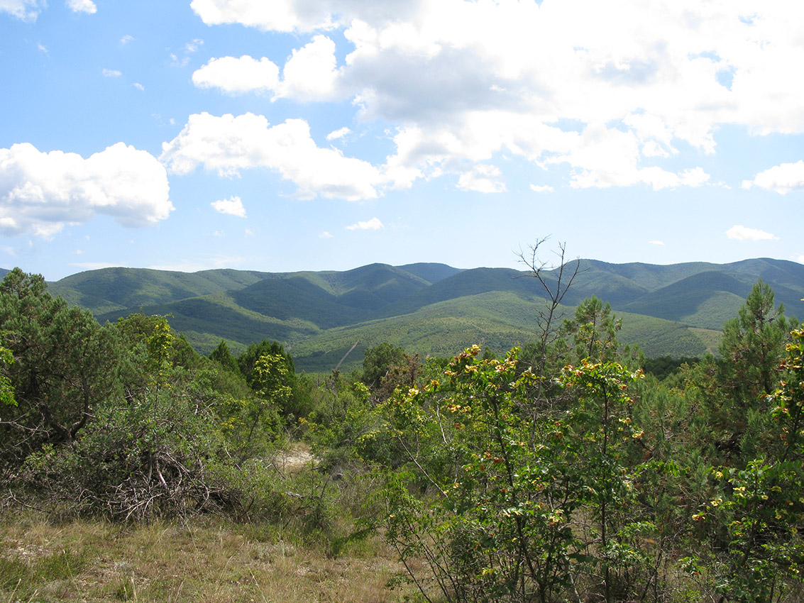 Окрестности озера Сукко, image of landscape/habitat.