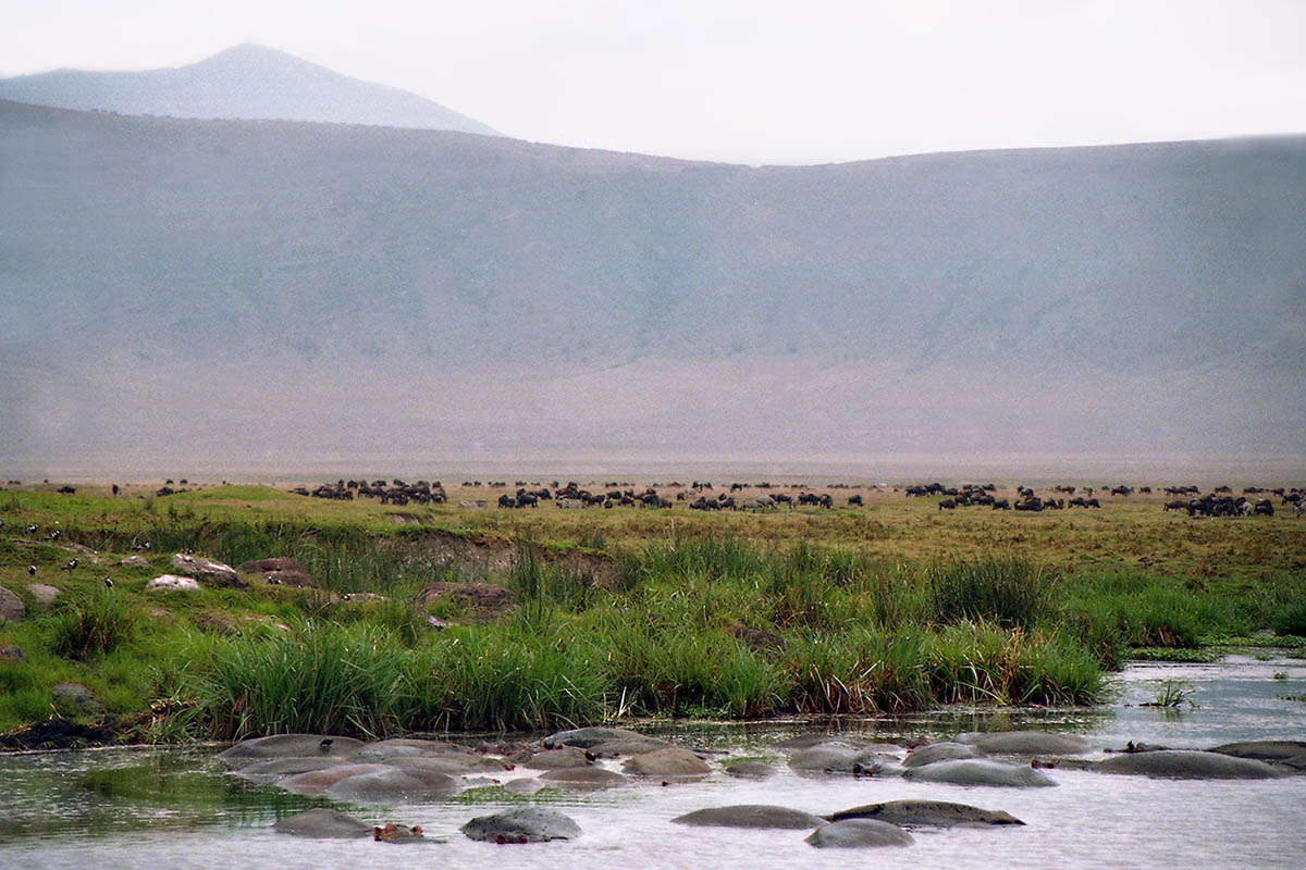 Нгоронгоро, изображение ландшафта.
