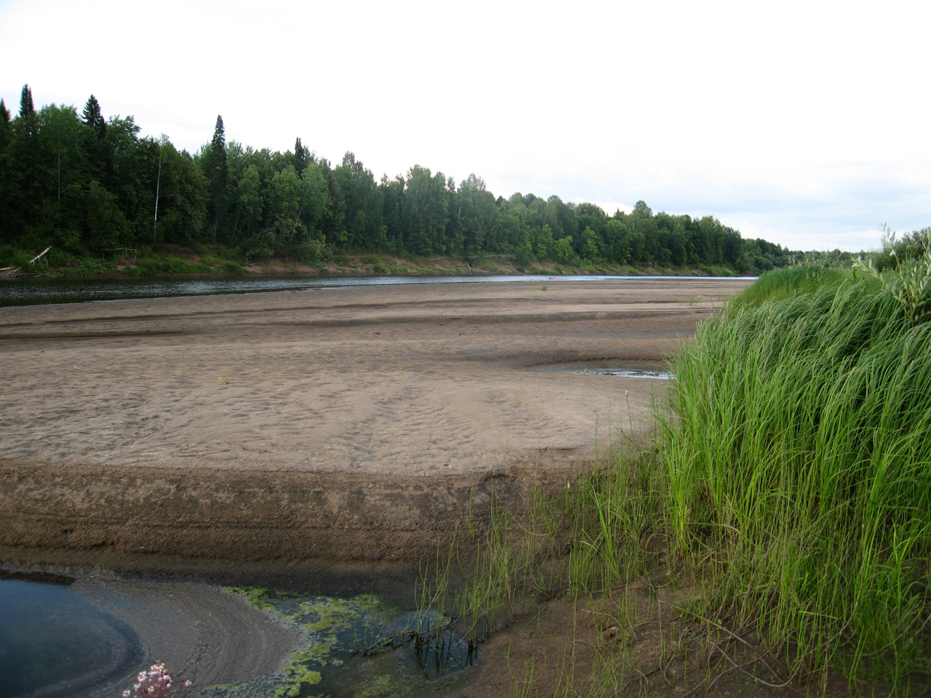 Село Кажирово, image of landscape/habitat.