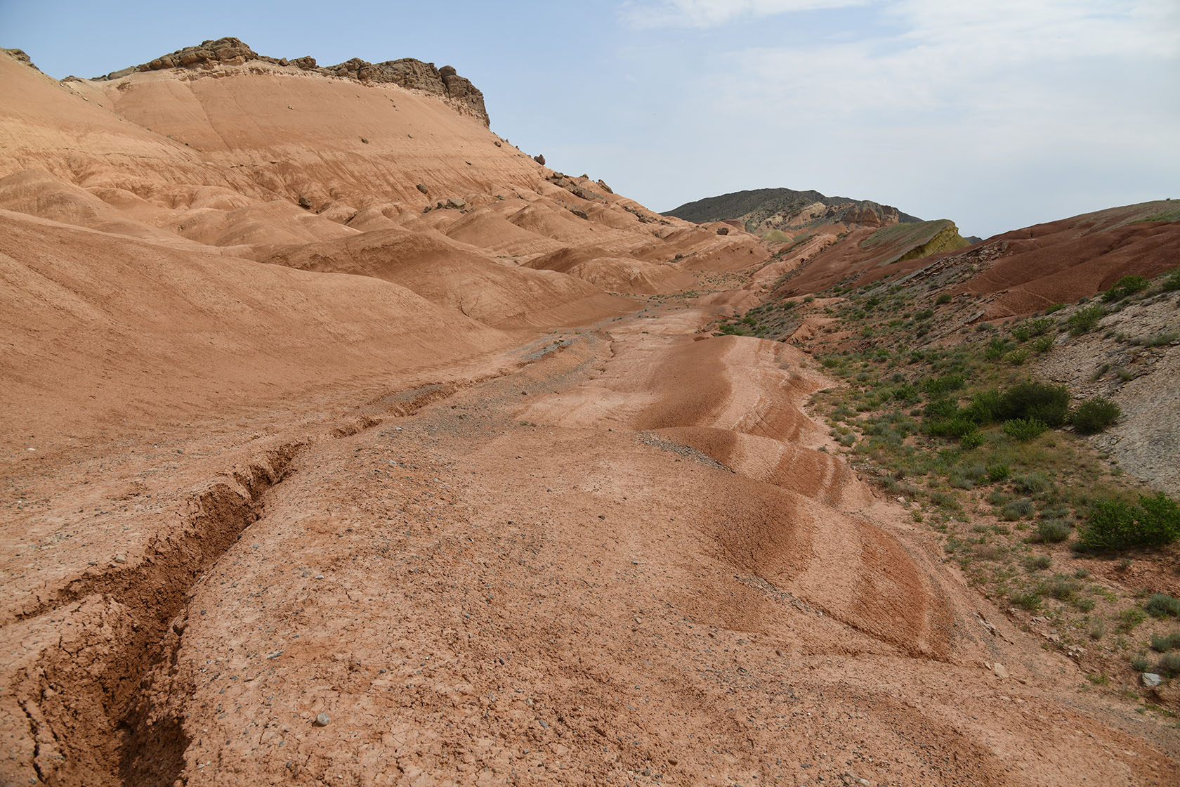 Исфара, image of landscape/habitat.