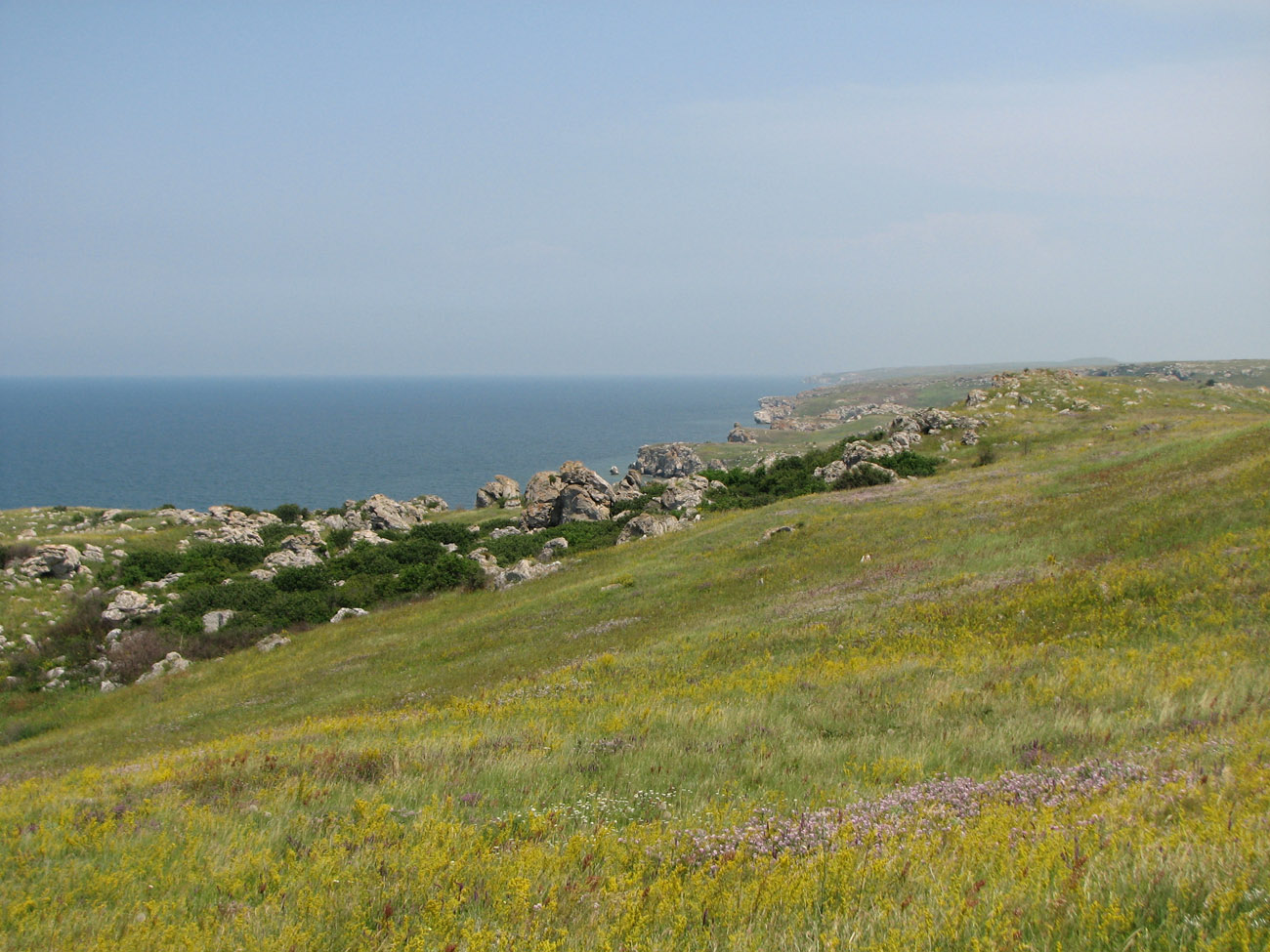 Караларская степь, image of landscape/habitat.