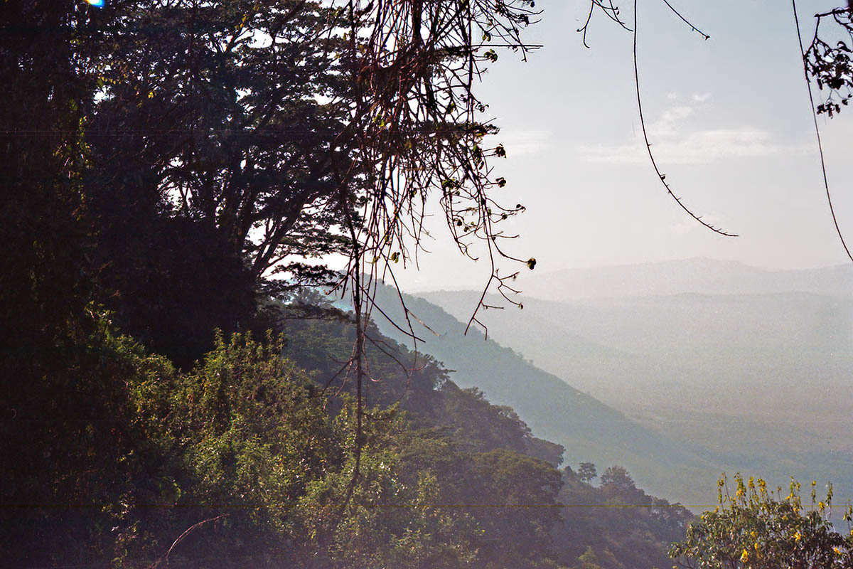 Нгоронгоро, image of landscape/habitat.