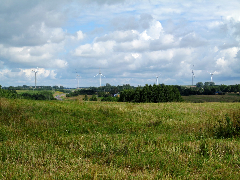 Большие Лезневичи, image of landscape/habitat.