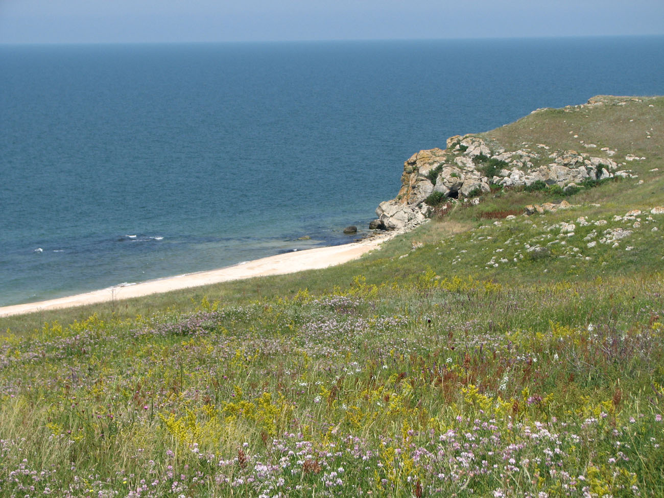 Караларская степь, image of landscape/habitat.