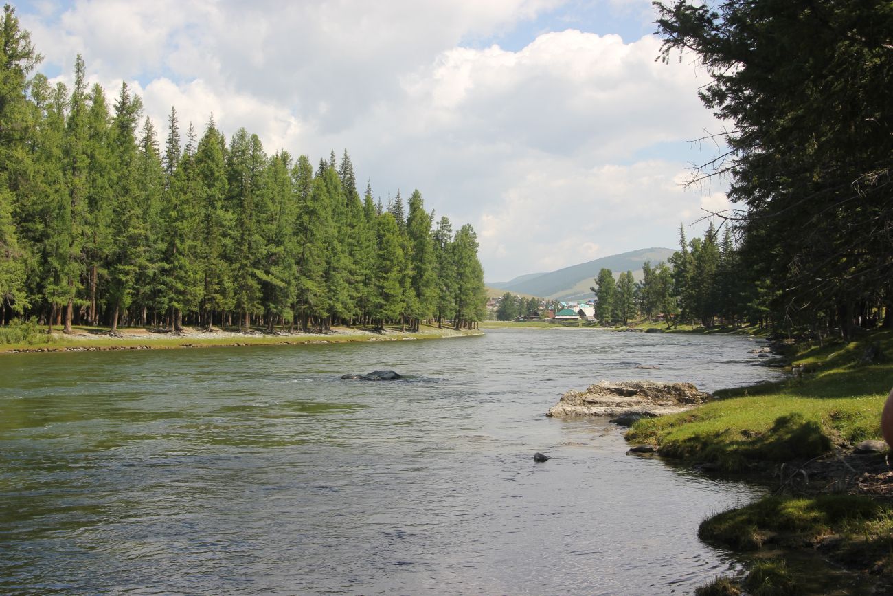 Село Улаган, image of landscape/habitat.