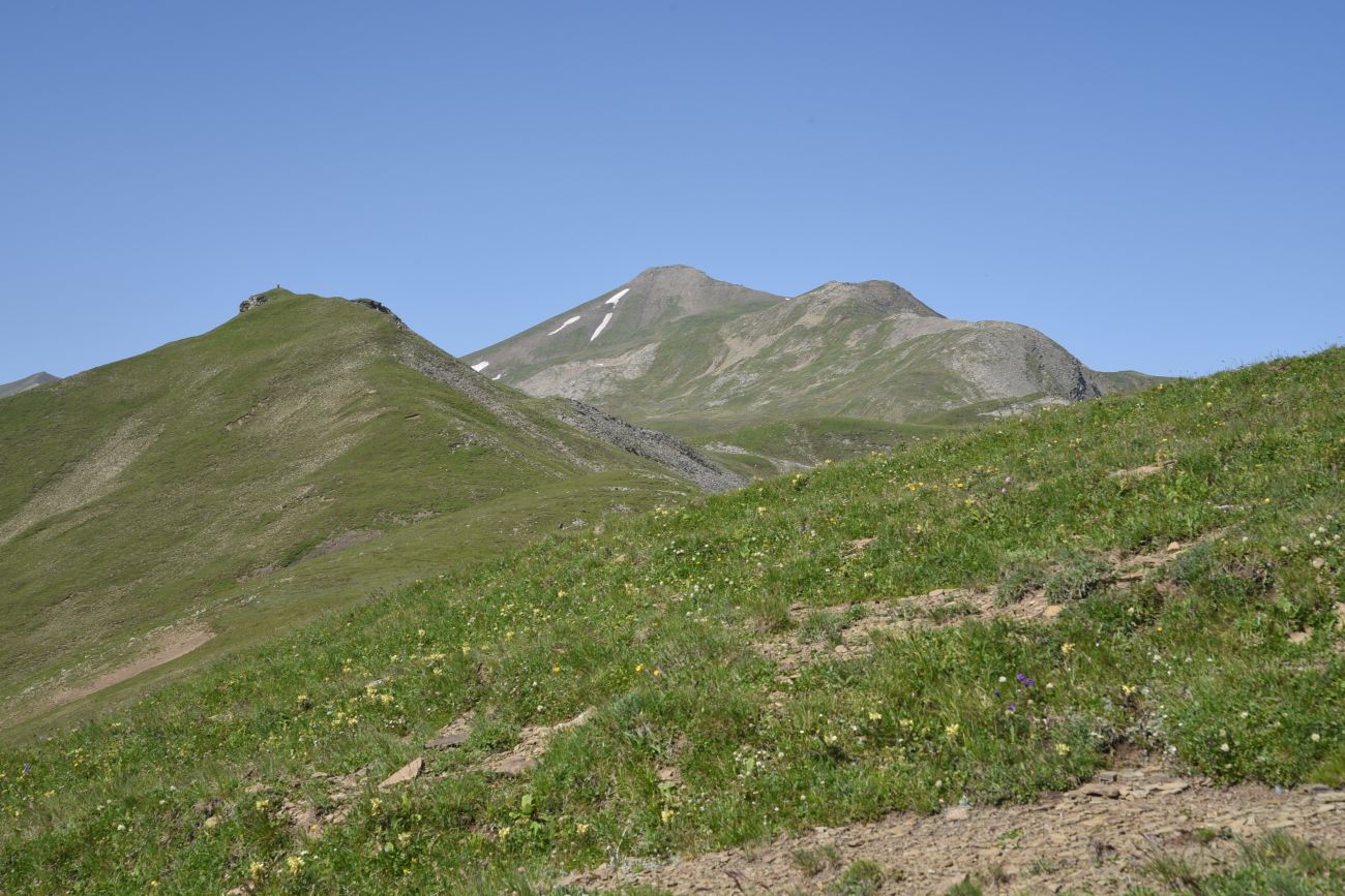 2 км от Цумандинского перевала, image of landscape/habitat.