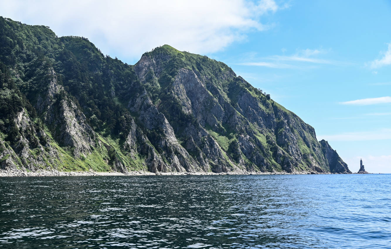 Мыс Анива, image of landscape/habitat.