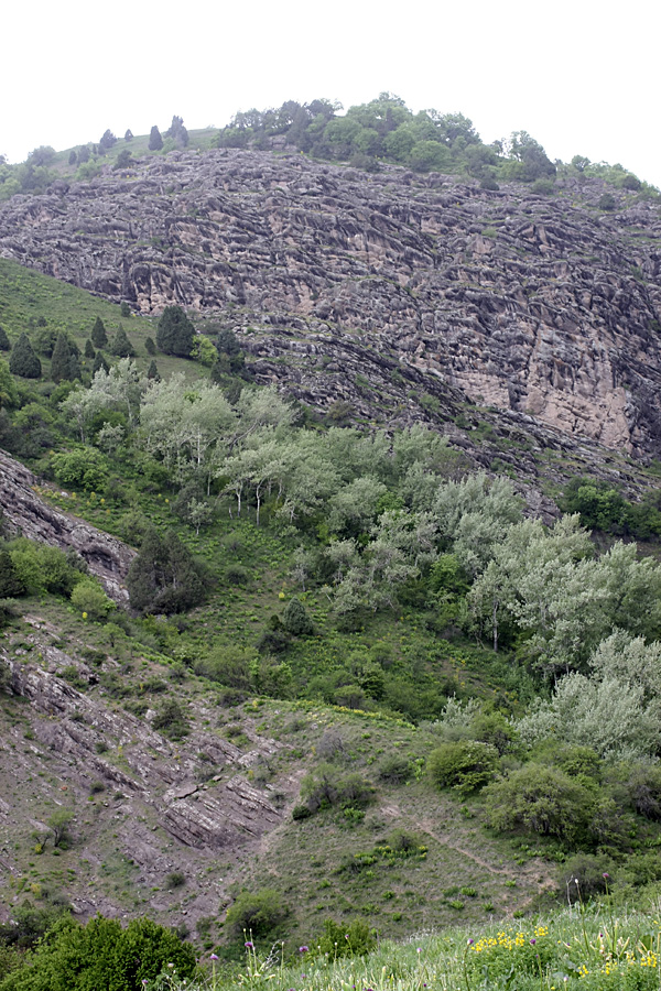 Ущелье Сингисафат, image of landscape/habitat.