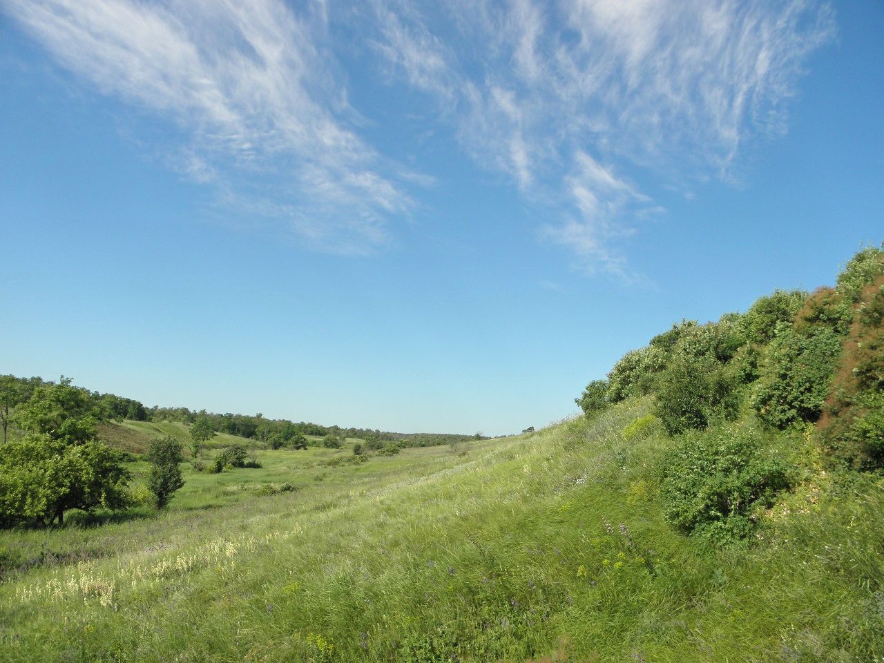 Калмыцкий Яр, изображение ландшафта.